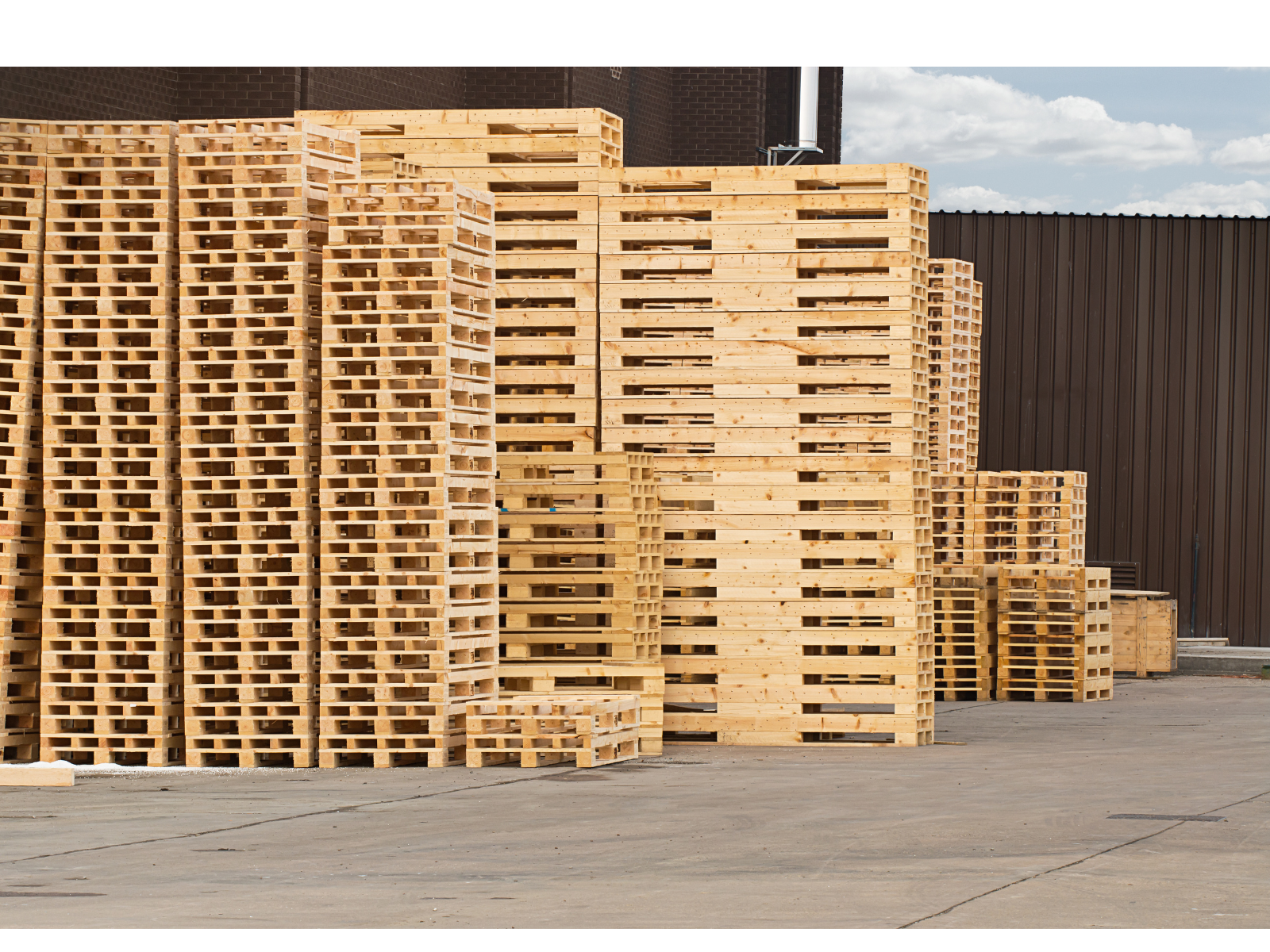 Pallets de Madeira